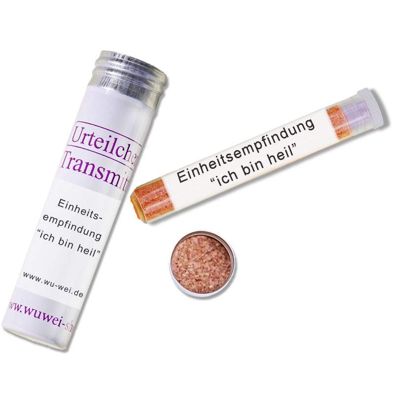T-319 Einheitsempfindung ich bin heil UT-Transmitter