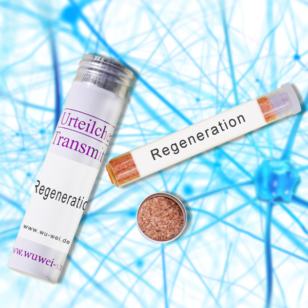 T-333 Regeneration auf neuronaler Ebene und neuronales Wachstum UT-Transmitter