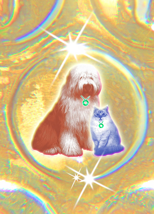 ur-92_2 Urteilchen PET