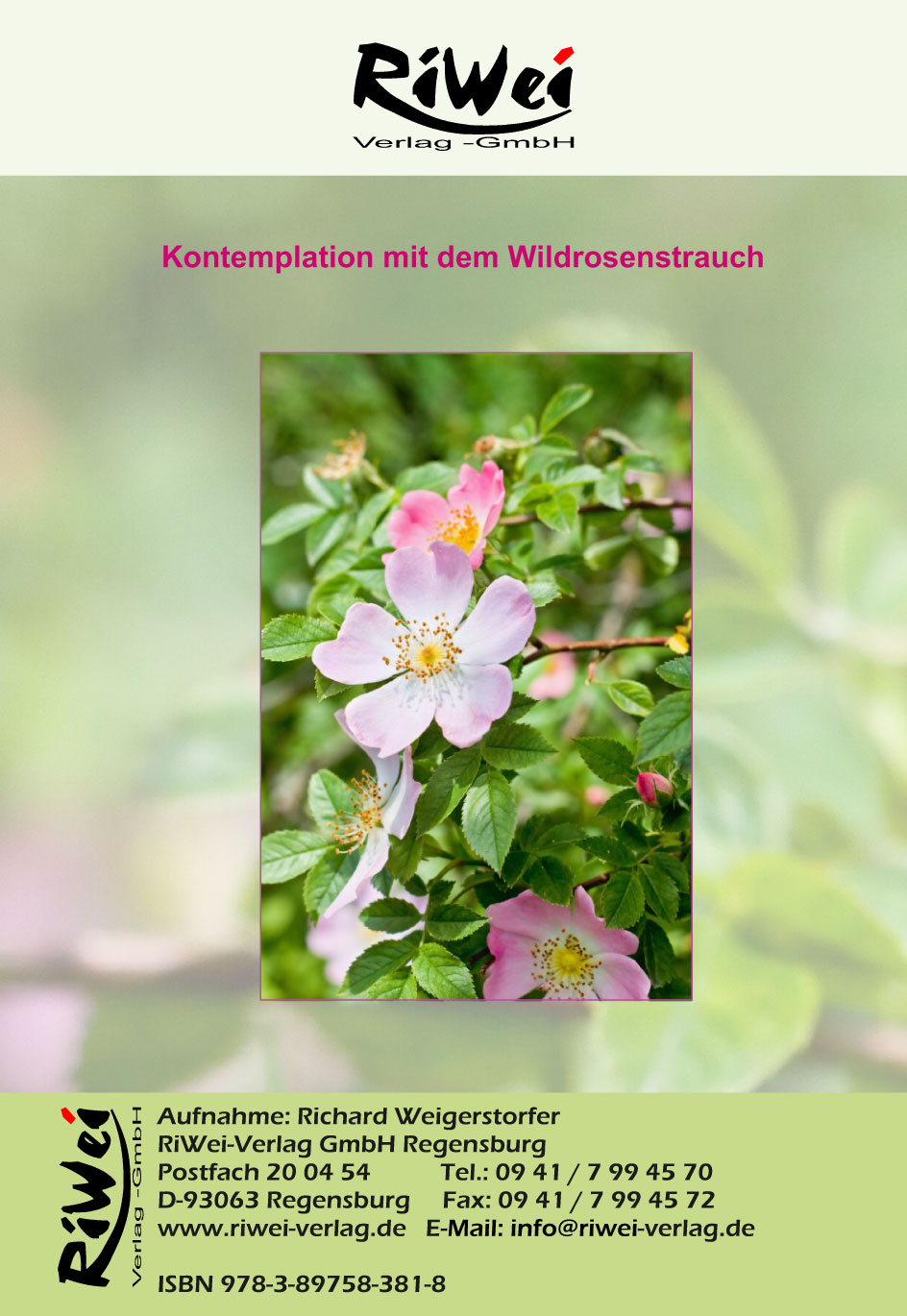 SA-381-Kontemplation-mit-dem-Wildrosenstrauch-web2 Richard Weigerstorfer - Kontemplation mit dem Wildrosenstrauch - AUDIO Meditation Download